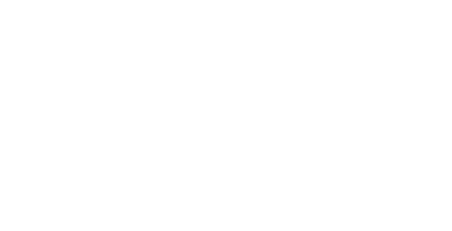 AnyConv.com__Prancheta-2-e1730478281837.webp